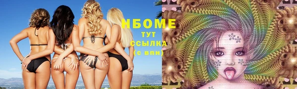 mdpv Бородино