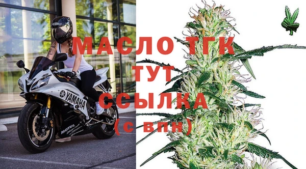 mdpv Бородино