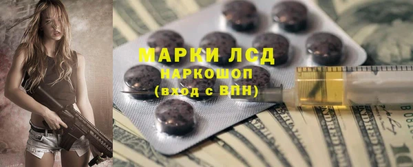 mdpv Бородино