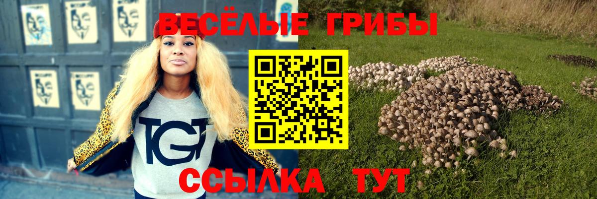 Псилоцибиновые грибы Psilocybe  Вход с VPN  Видное 